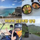 하와이 신혼여행 자유여행 6박 7일 일정 후기 비용 숙소