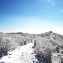 태백산목장 이미지