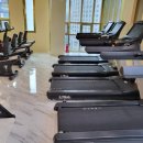 올웨이즈짐 이미지