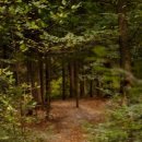 THE웃는치과의원 이미지