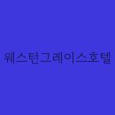 그레이스호텔 티스토리