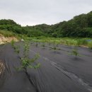 중선농장 이미지