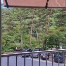 가리왕산자연휴양림 이미지