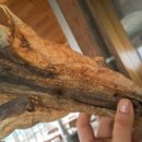 태평상회 이미지