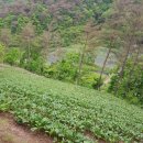 청정농장 이미지