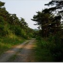 지리산둘레길 22코스(주천-밤재) Daum카페