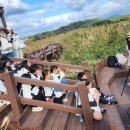 인안초등학교 이미지