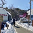 응골농장 네이버블로그
