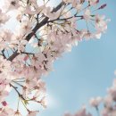 라일라영어교습소 | 별내논술.아낌없이 주는 논술쌤이자 성장하는 블로거 입니다.