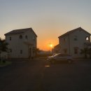 딸기네 민박 이미지