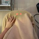 조이(JOY) | 혈액순환을 위한 내돈내산 족욕기 추천 : 에버조이 JOY-010 사용 후기