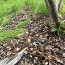 진골농장 이미지