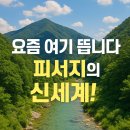 야생화정원펜션민박 이미지