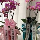 플라워링케이크 이미지