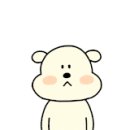 오늘의 댕댕 이미지