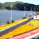 불갑농촌테마공원 이미지