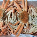 선미횟집 이미지