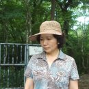 이창주유소 Daum카페