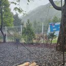 유명산힐링캠핑장 | 가평 유명산 들꽃 여울 캠핑장 후기 : 계곡+단풍