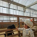 오정식물원 | 서울근교 아기랑 갈만한곳 : 부천 나눔농장 체험 예약 주차 후기