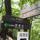 서향원 Daum카페