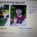 효은 카카오 검색결과