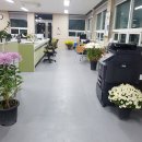 적중면사무소 이미지