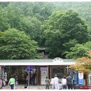 온달관광지(동굴방향) 이미지