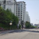 덕진-19 이미지