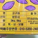 은아네농원