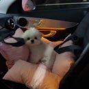 몽크의 아뜰리에 이미지