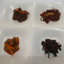 수도권에서 쉬이 접할 수 없는 청산도 음식 [전복 톳 된장찌개] / [전복 뚝배기 김국] 식도樂 후기