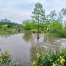 보라매공원 이미지