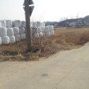 오상정미소 이미지