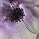 마두 약수터 이미지