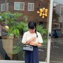 일상기록(4) :: 컴포트커피, 캐시미어커피, 보통공원, 98도씨, 알맹상점, 에이치커피로스터스, 필리커피