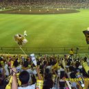 호돌이크리닝 이미지