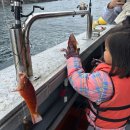 제주활어회 | 제주 배낚시 후기 • 모슬포 홍마트 활어회｜도민 추천 가성비 방어회 포장