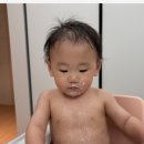 거로 미디어