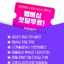 다시스