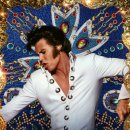 ELVIS 엘비스