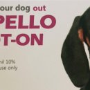 세종스마일약국 이미지