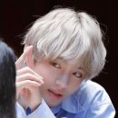 멋쟁이토마토 이미지