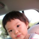 두린아이 이미지