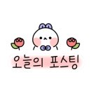파라곤헤어살롱 이미지