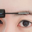 래쉬티비 이미지