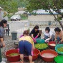 삼화마을 이미지