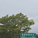 웅지와 나옹이 이미지