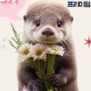 어퍼웨스트