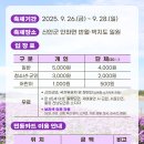 아스타축제 이미지